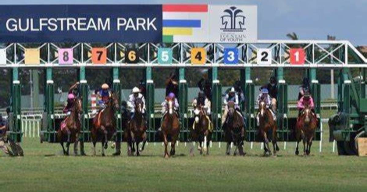 Aqui el fijo y los datos para jugar el Pick Six de Gulfstream Park 18