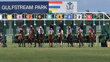 Aqui el fijo y los datos para jugar el Pick Six de Gulfstream Park 18-01-2024