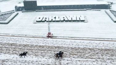 Este hipódromo de Estados Unidos también cancela sus carreras por la tormenta de frío