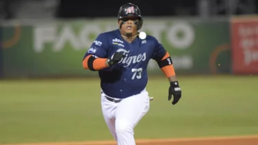 LVBP: Yermín Mercedes reconoce lo que le costó encajar en el beisbol venezolano (+Video)