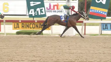 Así es el ajuste del favorito de Gaceta Hípica en el inicio del 5y6 del domingo en La Rinconada Así es el ajuste del favorito de Gaceta Hípica en el inicio del 5y6 del domingo en La Rinconada