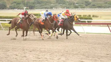 Mira lo que le ocurrió en su ajuste del día miércoles a Mortero que lleva Ángel Castillo Mira lo que le ocurrió en su ajuste del día miércoles a Mortero que lleva Ángel Castillo