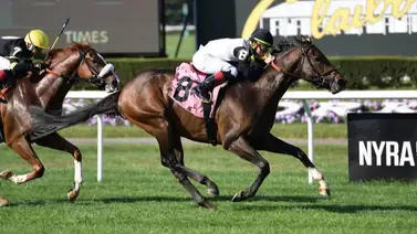 Un venezolano y un puertorriqueño entre los 3 mejores en la historia de Estados Unidos en este rubro Un venezolano y un puertorriqueño entre los 3 mejores en la historia de Estados Unidos en este rubro