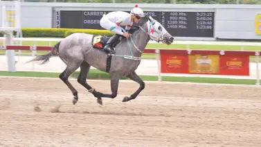 Conoce el ajuste de la sorpresa de Gaceta Hípica de este domingo en La Rinconada Conoce el ajuste de la sorpresa de Gaceta Hípica de este domingo en La Rinconada