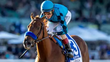 Jockeys puertorriqueños se anotan cinco victorias en Gulfstream Park Jockeys puertorriqueños se anotan cinco victorias en Gulfstream Park