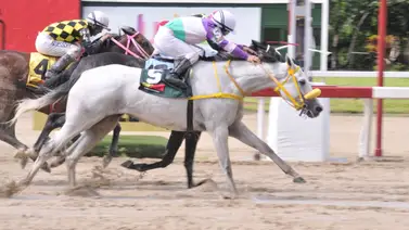 Esta yegua vuela en su ajuste del miércoles y puede ser el batacazo del domingo en La Rinconada Esta yegua vuela en su ajuste del miércoles y puede ser el batacazo del domingo en La Rinconada