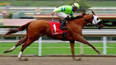 Se recupera y vuelve a la pista en California este efectivo jockey de sangre boricua Se recupera y vuelve a la pista en California este efectivo jockey de sangre boricua