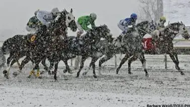 Cuatro hipódromos de Estados Unidos cancelan sus carreras este viernes 19 de enero Cuatro hipódromos de Estados Unidos cancelan sus carreras este viernes 19 de enero