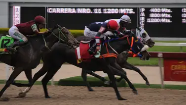 Mira el ajuste de la favorita de Gaceta Hípica en la última del 5y6 del domingo en La Rinconada Mira el ajuste de la favorita de Gaceta Hípica en la última del 5y6 del domingo en La Rinconada