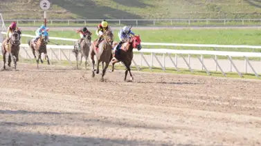 Este es el ajuste de la supérfija de Luis Peraza que va en el 5y6 del domingo en La Rinconada Este es el ajuste de la supérfija de Luis Peraza que va en el 5y6 del domingo en La Rinconada