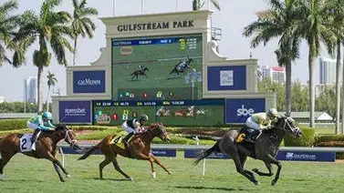 Asi quedaron los resultados en Gulfstream Park 19-01-2024 Asi quedaron los resultados en Gulfstream Park 19-01-2024