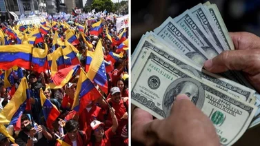 Sistema Patria: Bonos activos y pagando este 20 de enero 