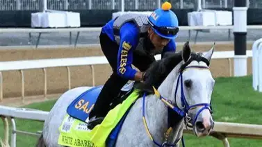 White Abarrio estrena nuevo propietario en la Saudi Cup White Abarrio estrena nuevo propietario en la Saudi Cup