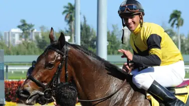 Javier Castellano alza vuelo en el Championship Meet de Gulfstream Park Javier Castellano alza vuelo en el Championship Meet de Gulfstream Park