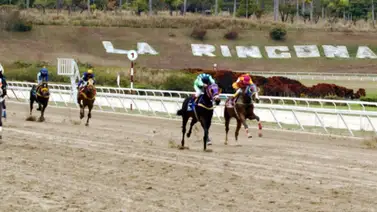 Aquí están los favoritos de la cátedra para el 5 y 6 Nacional de la reunión 2 de 2024 en La Rinconada Aquí están los favoritos de la cátedra para el 5 y 6 Nacional de la reunión 2 de 2024 en La Rinconada