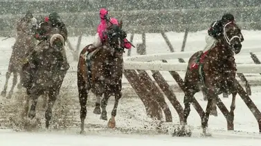 Se suspenden las carreras del sábado en estos cinco hipódromos de Estados Unidos Se suspenden las carreras del sábado en estos cinco hipódromos de Estados Unidos