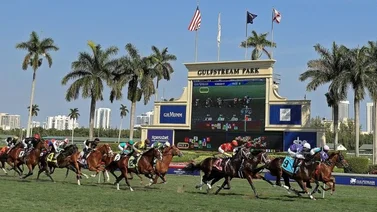 ¡Atención! Estos son los ejemplares retirados el sábado en Gulfstream Park