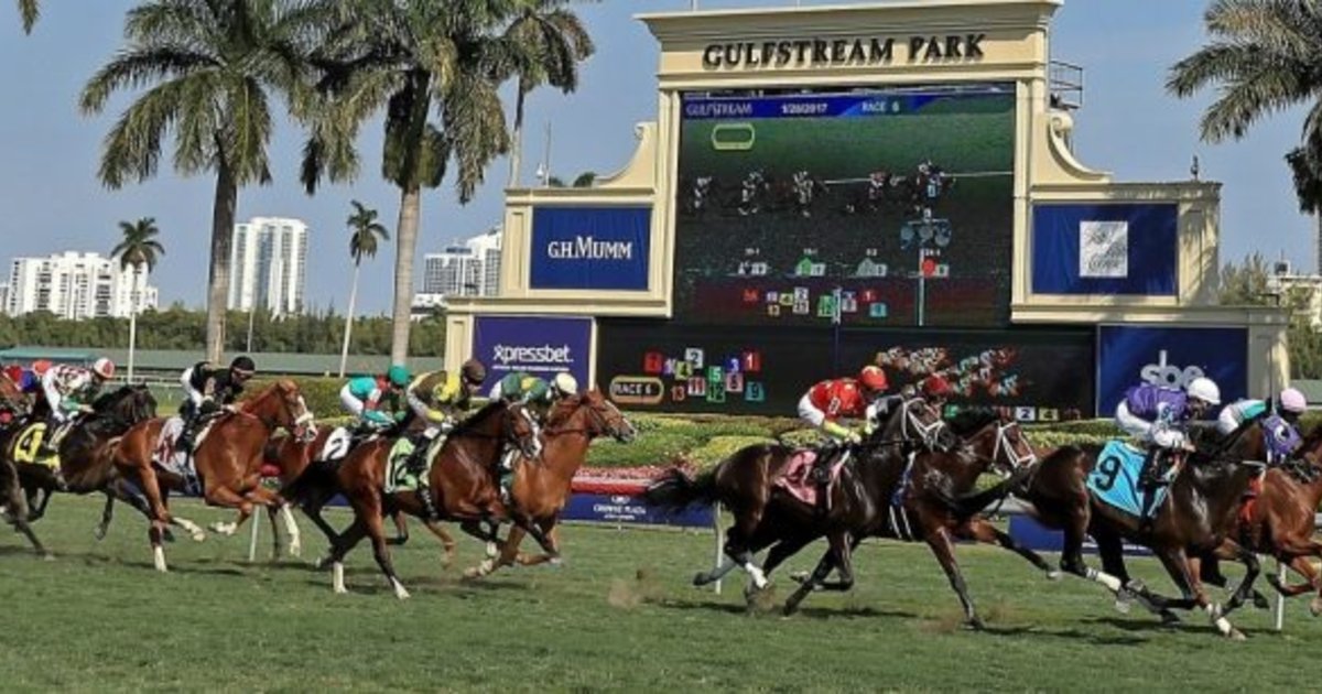 Asi quedaron los resultados en Gulfstream Park 20012024