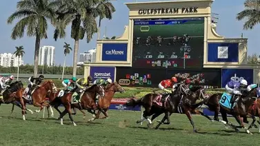 Asi quedaron los resultados en Gulfstream Park 20-01-2024