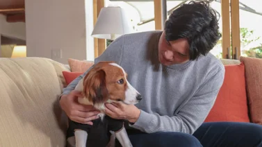 MLB: La curiosa historia de Shohei Ohtani sobre su perro Decoy