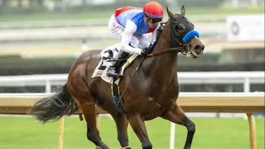 El nuevo prospecto de Bob Baffert que impresiona en California El nuevo prospecto de Bob Baffert que impresiona en California