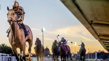 El tordillo que galopa en Fair Grounds y ahora va por la Saudi Cup El tordillo que galopa en Fair Grounds y ahora va por la Saudi Cup