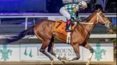 Este es el potro que empata a Fierceness en la clasificación al Kentucky Derby Este es el potro que empata a Fierceness en la clasificación al Kentucky Derby