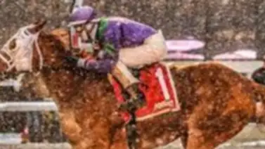 Tres hipódromos de Estados Unidos suspenden carreras este domingo 21 de enero Tres hipódromos de Estados Unidos suspenden carreras este domingo 21 de enero