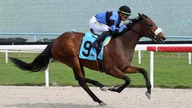 Irad y José Luis Ortiz brillan en la tarde de carreras de Gulfstream Park