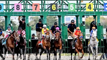 ¡Candente! Estos son los participantes y sus puestos de partida en la Pegasus World Cup de 2024