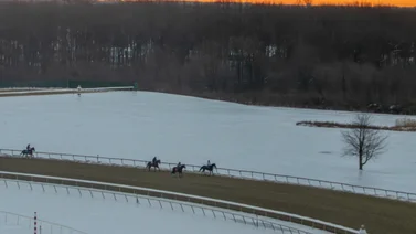 Carreras de este lunes en Parx Racing no se disputarán por esta causa