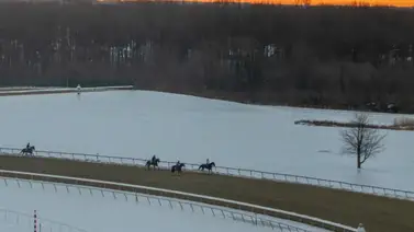 Carreras de este lunes en Parx Racing no se disputarán por esta causa Carreras de este lunes en Parx Racing no se disputarán por esta causa