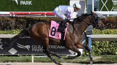 Estos jinetes puertorriqueños están en el Top 10 por victorias en Estados Unidos Estos jinetes puertorriqueños están en el Top 10 por victorias en Estados Unidos