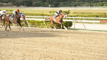 Nómina pareja en el Clásico Andrés Bello en la reunión tres de La Rinconada Nómina pareja en el Clásico Andrés Bello en la reunión tres de La Rinconada