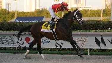 Mira cuántas montas tiene Irad Ortiz Jr. esta semana de la Pegasus World Cup