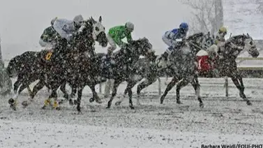 Se suspenden las carreras del martes 23 de enero en este hipódromo de Estados Unidos Se suspenden las carreras del martes 23 de enero en este hipódromo de Estados Unidos