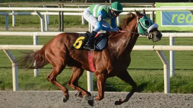 Estos son los cinco caballos latinoamericanos que se enfrentan al mundo este viernes en Dubai