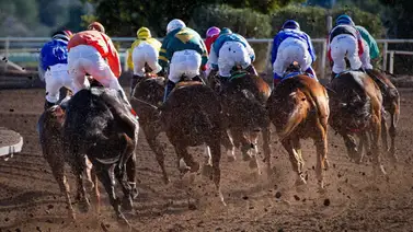 Conoce los stakes que se disputarán el sábado 27 en Estados Unidos Conoce los stakes que se disputarán el sábado 27 en Estados Unidos