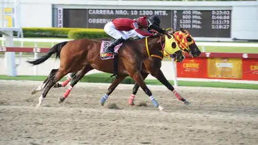 Hijo de semental Siete C vuelve a correr luego de 168 días en La Rinconada Hijo de semental Siete C vuelve a correr luego de 168 días en La Rinconada