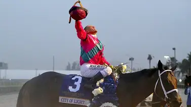 Mira los compromisos de Javier Castellano en los siete stakes de grado el día del Pegasus World Cup Mira los compromisos de Javier Castellano en los siete stakes de grado el día del Pegasus World Cup