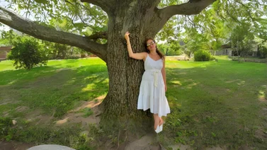 Mujer se vuelve viral luego de afirmar que mantiene una relación sentimental con un árbol (+Detalles)