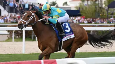 Atone busca la repetida en la Pegasus World Cup Turf este sábado en Gulfstream Park Atone busca la repetida en la Pegasus World Cup Turf este sábado en Gulfstream Park