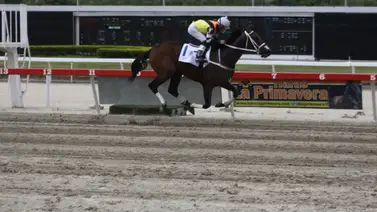 Conoce la última vez que Ángel Castillo ganó el Clásico Francisco de Miranda en La Rinconada Conoce la última vez que Ángel Castillo ganó el Clásico Francisco de Miranda en La Rinconada