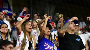 LVBP: Así se desarrolla el ingreso de fanáticos al Universitario para la gran final (+Video) LVBP: Así se desarrolla el ingreso de fanáticos al Universitario para la gran final (+Video)
