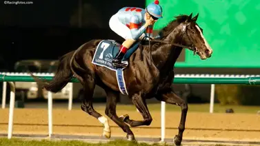 ¡Ninguna de Norteamérica! Estas fueron las diez mejores carreras de 2023 según este ranking ¡Ninguna de Norteamérica! Estas fueron las diez mejores carreras de 2023 según este ranking