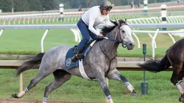 El hermano completo de Flightline debutará el domingo en este hipódromo de Estados Unidos El hermano completo de Flightline debutará el domingo en este hipódromo de Estados Unidos
