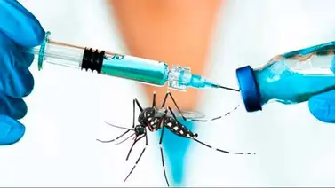 Expertos desarrollan una vacuna contra el dengue en Suiza Expertos desarrollan una vacuna contra el dengue en Suiza