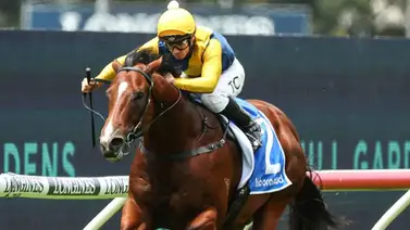 ¡Impresionante! $50 millones de dólares por un potro hijo de Justify ¡Impresionante! $50 millones de dólares por un potro hijo de Justify