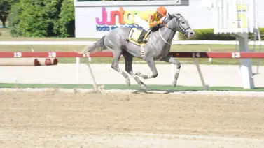 Así fue el ajuste de Arcano de cara al Clásico Francisco de Miranda el domingo en La Rinconada Así fue el ajuste de Arcano de cara al Clásico Francisco de Miranda el domingo en La Rinconada