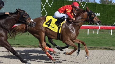 Así quedaron los resultados de las carreras de Gulfstream Park 24-01-24